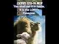 Download Lagu Exodus 12:5-14 NKJV#audiobible #biblereading #dailybread #passover #exodus#godspromises #lionofjudah