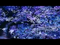 d-block europe - kitchen kings﹝slowed + reverb﹞