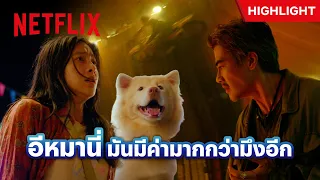 ‘โกฮัง’ โดนไล่ล่ากลางงานวัด หนีไม่คิดชีวิต - โกฮัง..หัวใจโกโฮม | Netflix