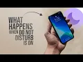 What Happens When Do Not Disturb is ON iPhone explained