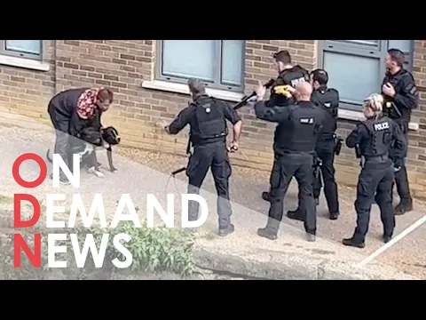 Download MP3 Met Police Shoot Two Dogs and Taser Man in East London