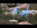 Cannabis recall in Missouri Dispensaries pulling 60K products