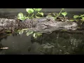 Hillsborough River Watershed
