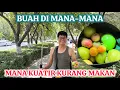 Download Lagu 🔴 DI XINJIANG BUAH SEPANJANG JALAN‼️ MANA KUATIR KURANG MAKANAN 🍎🍏🍑