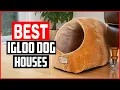 Top 5 Best Igloo Dog Houses in 2025