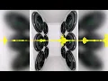 (29-58Hz) Shabba Ranks - Bedroom Bully (Rebassed by VCLTY)