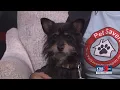 Paws to Care Pet Savers of Shreveport