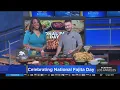 El Torito celebrating National Fajita Day with special deal