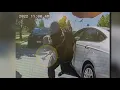 Naperville police shoot kill man who charged officer with hatchet