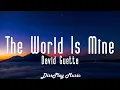 David Guetta - The World is Mine (lyrics)