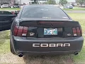 2003 Cobra with DSS Racing Built Ford Modular Big Bore Stroker 5 3L baby revs on new engine