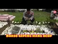 Download Lagu Lagu IBUKU - Ciptaan Mang UCUP - Tukang Bakso GEPENG