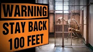 10 most dangerous scp creatures youve never heard of