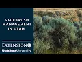 Sagebrush Management in Utah