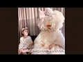 Download Lagu Sia - Incredible (Official Audio) ft. Labrinth