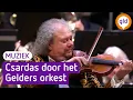 Download Lagu Czardas door het Gelders Orkest, Roby Lakatos en Dimiter Tchernookov (concertmeester)
