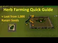 OSRS Herb Farming Quick Guide 2025 Loot from 1 000 Ranarr Seeds