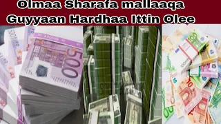 Jijjiirraan Mallaaqa November 13 11 2025 Meeqarraa Jira 