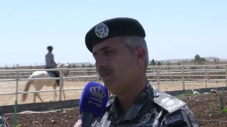 برنامج خاص عن وحدة فرسان قوات الدرك دندنها