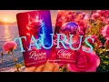 TAURUS A Serious Relationship Is About To Enter Your Life