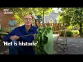 Download Lagu In het tabakmuseum rookt niemand | RTV Utrecht