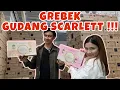 Download Lagu GREBEK GUDANG SCARLETT !!! | FELITOGETHER FAMILY