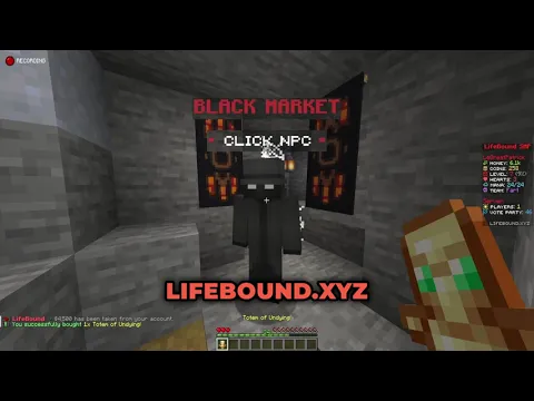 Minecraft server video for LifeBound
