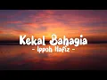 Download Lagu IPPO HAFIZ - KEKAL BAHAGIA LIRIK (LyricBy)