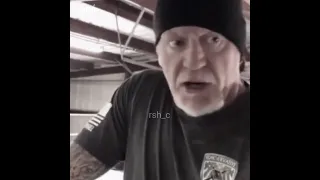 تخيل شجره بيها اوراق                            دندنها