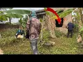 Download Lagu Cleaning the mysterious house, 72 hours to clean up an abandoned house and weed filled garden