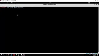 4 Coding a SSH brute forcer
