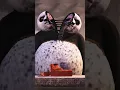 Kungfu Panda Test you might