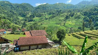kecapi suling sunda paling merdu u0026 bikin betah di kampung suasana pedesaan garut talegong jabar