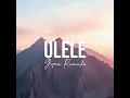 Ulele (Gqom Remake) by Dankii kay
