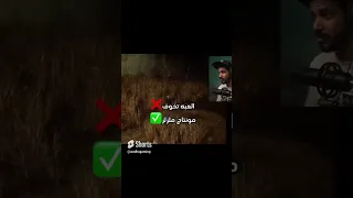 ملزلز ضحك لعبة العاب رعب دندنها