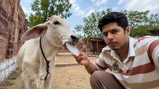 Vrinda ko Barf Khila Diya😲