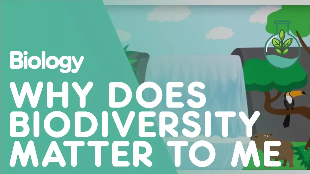 Why Does Biodiversity Matter To Me? | Ecology and Environment | Biology | FuseSchool