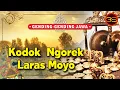 Download Lagu Sarwo Laras - Kodok Ngorek [Traditional Music]