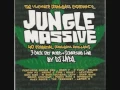 Download Lagu Wicked Wicked Jungle Is Massive (Ali G Indahouse)