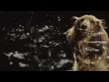 Vanessa Carlton - Little Bit Of Rain [Karen Dalton Cover] - Starring Victor #fourofsix