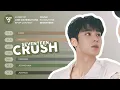 Lagu Crush — SEVENTEEN || LINE DISTRIBUTION [Color Coded]