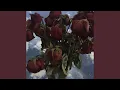 Download Lagu LIL UZI HURT