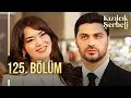Lagu Kızılcık Şerbeti 125. Bölüm @showtv