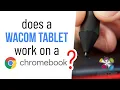 Low-Cost Digital Art Setup Wacom CHROMEBOOK