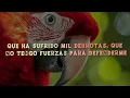 Gilberto Santarosa - Un Montón de Estrellas (Lyrics/Letra)
