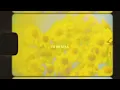 Brittany Howard - To Be Still (Lyric Video)