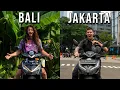 Download Lagu Bali to Jakarta by Motorbike | A 5000 km Journey in Java (Documentary)