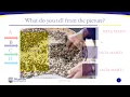 Data Mining Business Intelligence