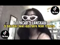 Download Lagu DJ DUH ADUH EMNG ASIK PUNYA PACAR TETANGGA || DJ PACAR 5 LANGKAH || TERBARU 2024