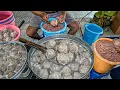 Download Lagu LIHAT CARA PEMBUATAN BAKSO PALING VIRAL DI GRESIK!!! SEHARI HABISKAN 200 KILO ADONAN-BAKSO KALISARI